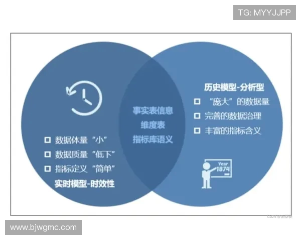 CFO与FNC的深度对比:财务管理与财务决策的不同路径与挑战 CFO与FNC的深度对比:财务管理与财务决策的不同路径与挑战