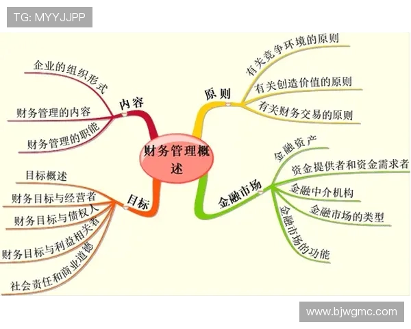 CFO与FNC的战略对比分析:财务管理与金融控制的核心差异 CFO与FNC的战略对比分析:财务管理与金融控制的核心差异