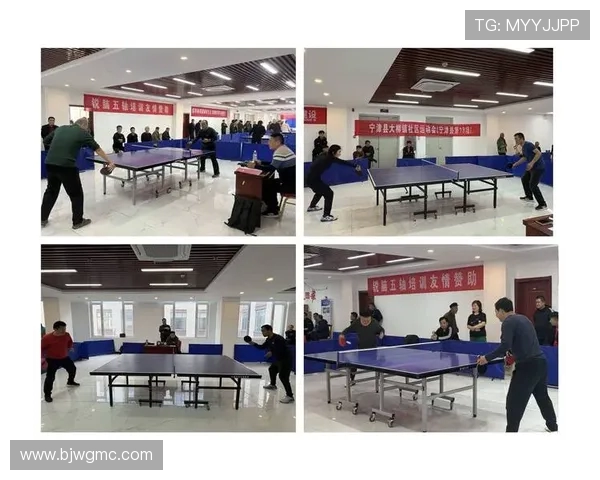 乒乓球运动的魅力与发展趋势探究及其对全民健身事业的推动作用