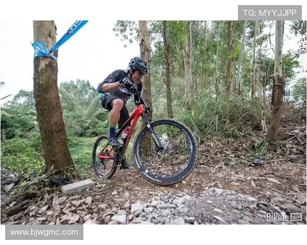 上海极限运动队战术表现的数据分析与策略优化研究