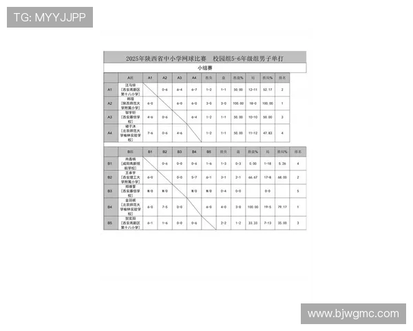 西安网球队在全国网球比赛经验排行榜中荣获第八名的佳绩分析