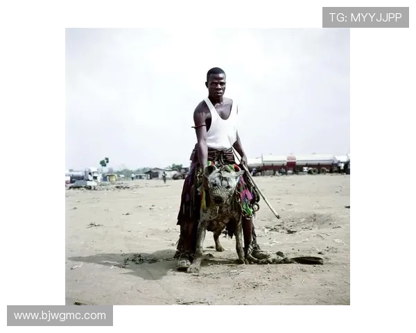 重庆攀岩队个人能力引发热议背后的争议与思考 重庆攀岩队个人能力引发热议背后的争议与思考